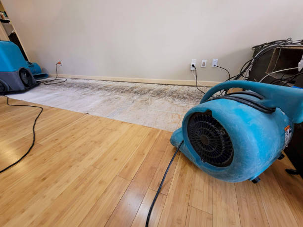 Professional Basement Flood Cleanup technician working in Mooreland, IN